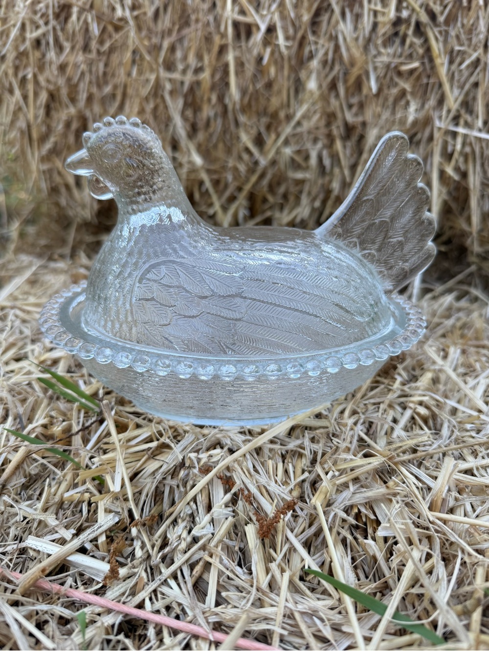 Indiana Glass HEN on a nest